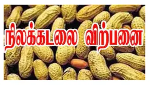 அரசு வேளாண் ஒழுங்கு முறை விற்பனை கூடத்தில் நிலக்கடலை ரூ.3.32 லட்சத்துக்கு விற்பனை