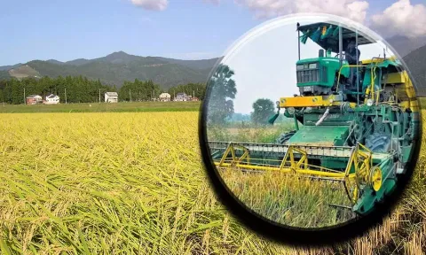 கோப்பு படம்.