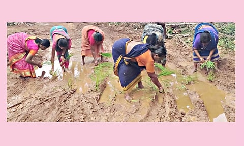 சேறும், சகதியுமான சாலையில் நாற்று நட்டு கிராம மக்கள் நூதன போராட்டம் நடத்தினர்.