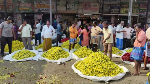 தருமபுரி பூ   மார்கெட்டில் விற்பனைக்கு வந்துள்ள பூக்கள் குவியலை படத்தில் காணலாம்.