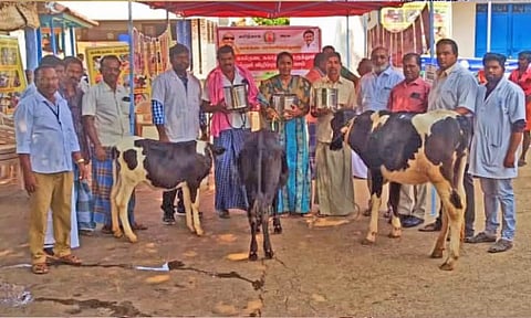 கால்நடை சுகாதார விழிப்புணர்வு முகாம் நடைபெற்ற காட்சி.