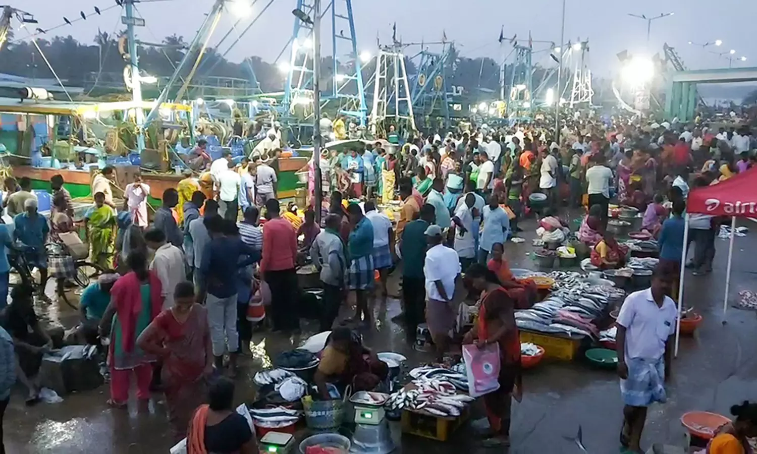 கடலூர் மீன்பிடி துறைமுகத்தில் குவிந்த பொதுமக்களை படத்தில் காணலாம்.