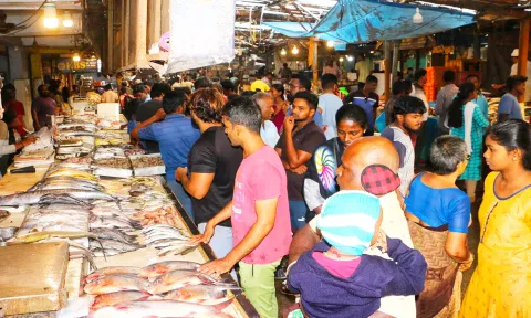 வேலூர் மீன் மார்க்கெட்டில் அசைவ பிரியர்கள் குவிந்தனர்