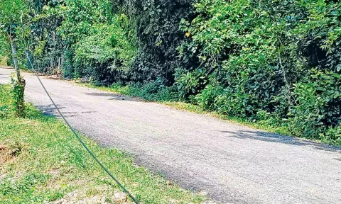 அறுந்து தொங்கும் இணையதள சேவை கேபிள்கள்.
