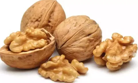 மூளையை சுறுசுறுப்பாக்கும் வால்நட்