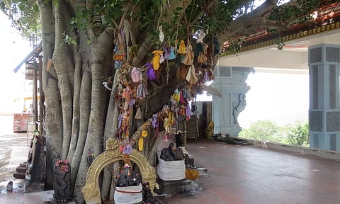 பஞ்சபூத விருட்ச அரசமர மேடை