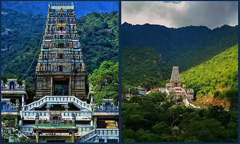 மருதமலை-20