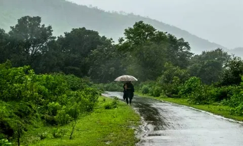 மேற்கு தொடர்ச்சி மலையில் சாரல் மழை-அடவிநயினார் அணை நீர்மட்டம் 117 அடியை எட்டியது