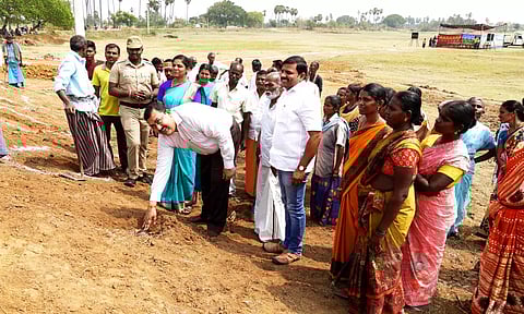 விழாவில் கலந்து கொண்ட கலெக்டர் ரவிச்சந்திரன் பனைவிதைகளை நட்ட காட்சி. அருகில்  ஆலங்குளம் யூனியன் சேர்மன் திவ்யா மணிகண்டன் உள்ளார்.