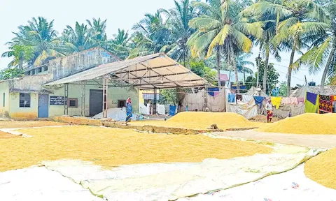 கொள்முதல் நிலையம் முன்பு குவித்து வைக்கப்பட்டுள்ள நெல்மணிகள்.
