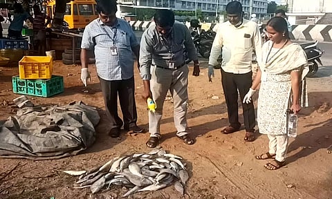 கெட்டுப்போன மீன்களை அதிகாரிகள் அழித்த போது  எடுத்த படம்.