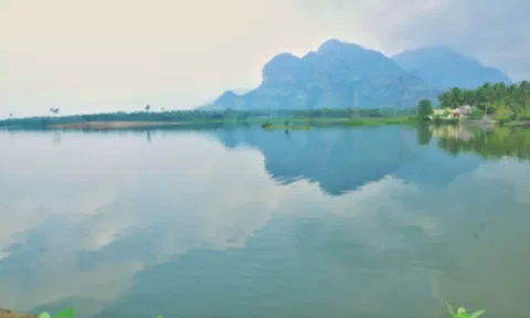 குமரியில் மழை நீடிப்பு 1500 பாசன குளங்கள் நிரம்பியதுபேச்சிப்பாறை அணை 24 மணி நேரமும் கண்காணிப்பு