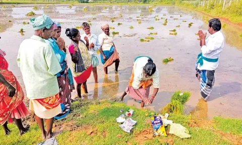 சம்பா நடவு பணிகளை தொடங்க வயலில் நெல் நாற்றுக்களை வைத்து சாமி கும்பிடும் தொழிலாளர்கள்.

