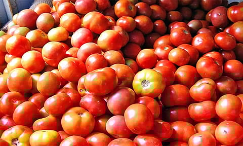 வரத்து குறைவால் தக்காளி விலை 'திடீர்' அதிகரிப்பு