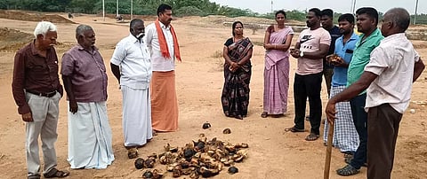 சாத்தான்குளம் குளக்கரையில் 2200 பனைவிதைகள் விதைப்பு