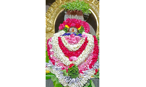 புளியம்பட்டி அண்ணாமலையார் கோவிலில் பிரதோஷ வழிபாடு
