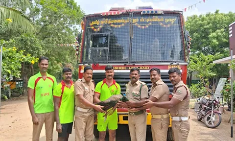 மீட்கப்பட்ட பெண் மயில் வனத்துறையினரிடம் ஒப்படைக்கப்பட்டது.