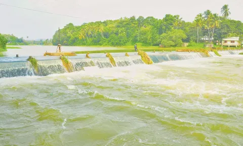 தொடர்மழை எதிரொலியாக பேச்சிப்பாறை-பெருஞ்சாணி அணைகளுக்கு நீர்வரத்து அதிகரிப்பு