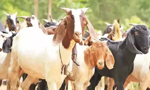கோப்புபடம்.&nbsp;