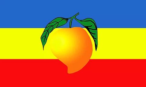 கும்மிடிப்பூண்டியில் பா. ம. க. பொதுக்குழு கூட்டம்