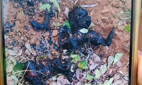 முந்திரி காட்டில் எரிந்து கொண்டிருந்த மனித உடல்