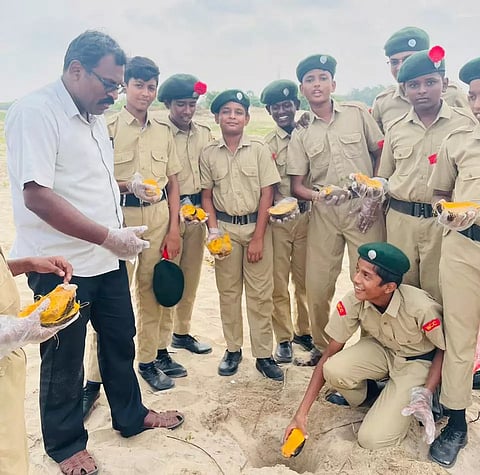 காயல்பட்டினம் கடற்கரையில் பனை விதைகள் நடவு