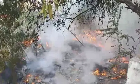 உக்கடம் மீன்மார்க்கெட் பகுதியில் திடீர் தீ விபத்து