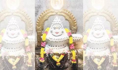 அன்னாபிஷேக அலங்காரத்தில் அருள்பாலித்த ஆதிகைலாசநாதர்.
