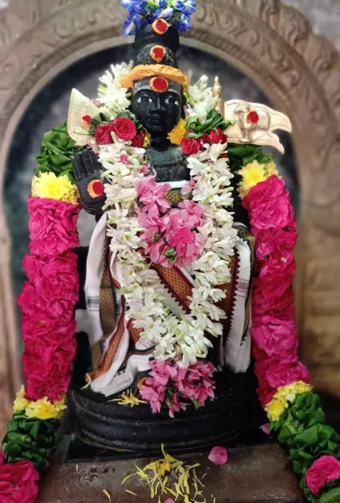 முருகன் கோவில்களில் கிருத்திகை முன்னிட்டு சிறப்பு அபிஷேக ஆராதனை