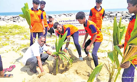 தென்னங்கன்றுகள் நடப்பட்டது.