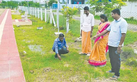 மரக்கன்று நடும் இடங்களை நகர்மன்ற தலைவர் ஆய்வு செய்தார்.