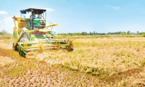 மாவட்டத்தில் இதுவரை 71, 412 எக்டர் குறுவை அறுவடை பணிகள் நிறைவு