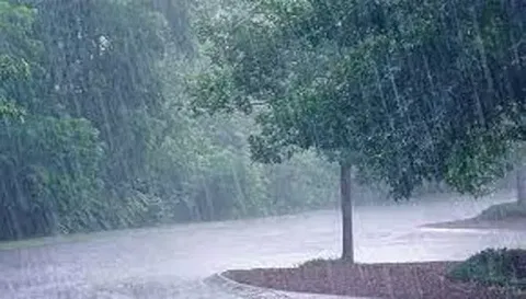சேலம், நாமக்கல் மாவட்டங்களில் மழை நீடிப்புபெத்தநாயக்கன்பாளையத்தில் 13  மி.மீ. பதிவு