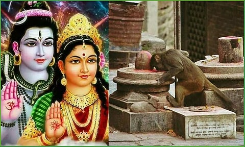 குரங்காக இருந்து அரசனாக பிறந்த முசுகுந்தன்