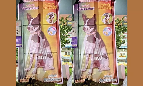 முக்கிய சந்திப்பில் நாய்க்கு பிறந்த நாள் வாழ்த்து பேனர்- போலீசார் எச்சரித்து அகற்றினர்