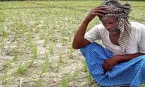 அரியலூர் மாவட்டத்தில் சம்பா சாகுபடி பாதிப்பு