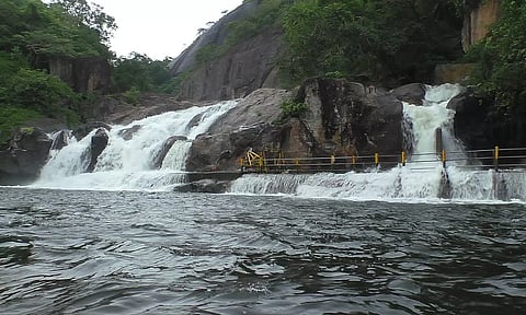 மணிமுத்தாறு அருவியில் ஏற்பட்டுள்ள வெள்ளப்பெருக்கை காணலாம்