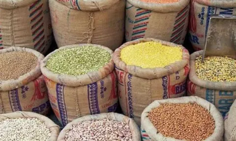 கோப்புபடம்.