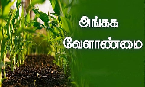 கோப்புபடம்.&nbsp;