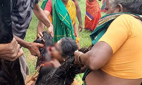 கோவில் திருவிழாவில் ஆட்டு ரத்தம் குடித்து அருள்வாக்கு கூறிய பெண் சாமியார்