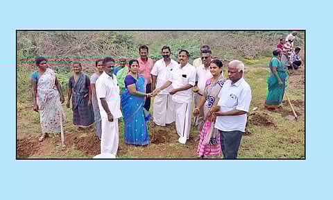 பனை விதை நடவு விழா