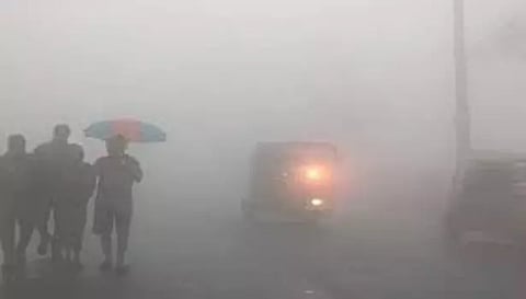 ஏற்காட்டில் கடும் பனிப்பொழிவு