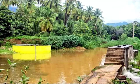 களக்காட்டில் கட்டி முடிக்கப்பட்டு பயன்பாட்டுக்கு வராத உறை கிணறு- குடிநீர் தட்டுப்பாட்டால் பொதுமக்கள் பாதிப்பு