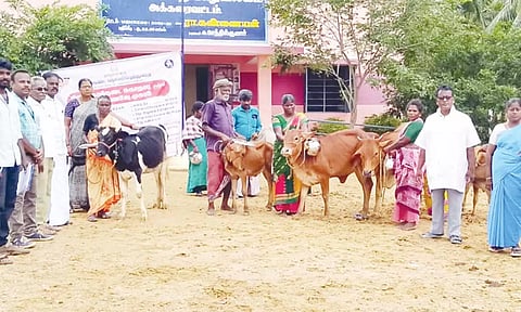 கால்நடை முகாம் நடந்தது.
