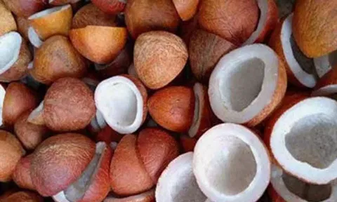 கோப்புபடம்.&nbsp;