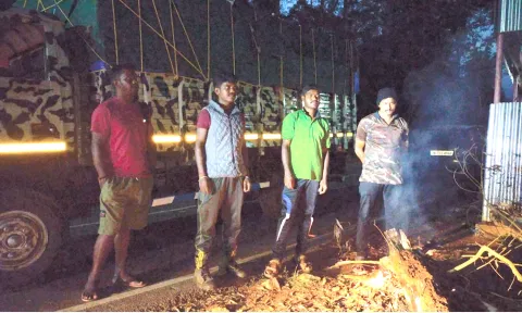 வால்பாறை அருகே தேயிலை தோட்டத்தில் முகாமிட்ட காட்டு யானைகள் கூட்டம்