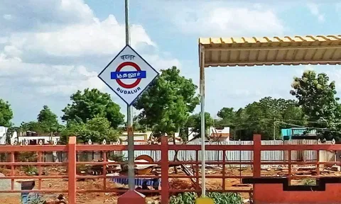 தஞ்சை- சென்னைக்கு பகலில் எக்ஸ்பிரஸ் ரெயில் இயக்க வேண்டும்