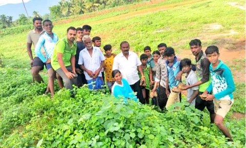 வெங்கடாம்பட்டி குளக்கரையில்  1,500 பனை விதைகள் விதைப்பு