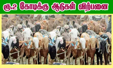 ராமநாதபுரத்தில் ரூ.2 கோடிக்கு ஆடுகள் விற்பனை