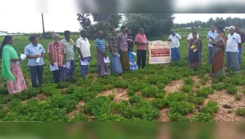 விழிப்புணர்வு முகாம் நடைபெற்ற போது எடுத்த படம்.